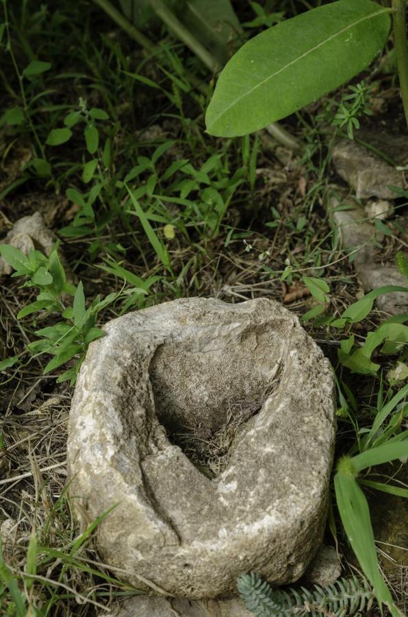 벌러토너컬리 Egrelato Vendeghaz 아파트 외부 사진